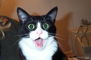 Обо всем по немногу.