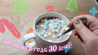 Влогмасы 2024