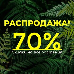 Акции Садового центра