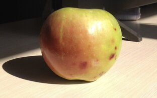 Деревенские истории