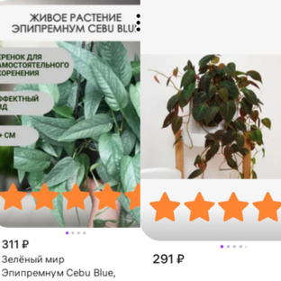 Покупки и цены