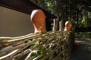 Акции и предложения 