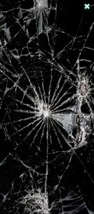 Странности бытия