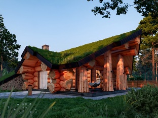 Бани. Авторские проекты