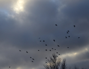 Никита Казаков