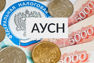 Автоматизированная УСН