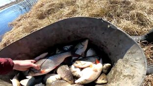 Ловля на паук подъёмник.