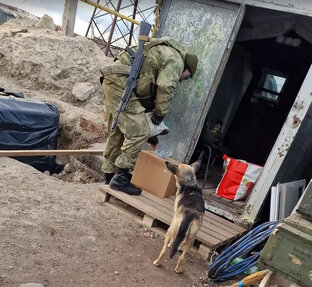 Донбасс. Ноябрь-2023