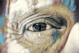 Сказки про Демиурга