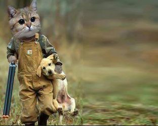 инвалидность 