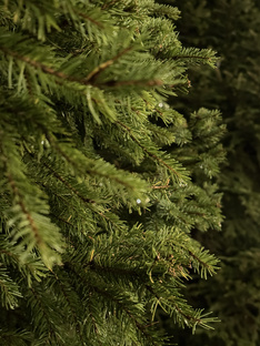 Бюджет 👛 Разумный шопинг 