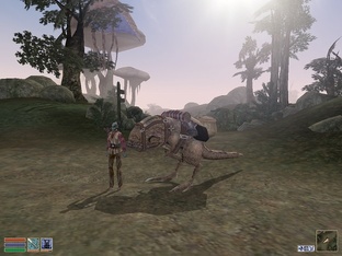 TES III: Morrowind. Дорожные побочные квесты.