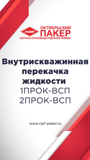Внутрискважинная перекачка жидкости 1ПРОК-ВСП, 2ПРОК-ВСП