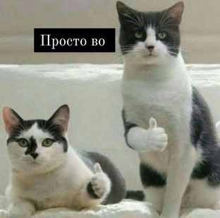 про цепляющий контент