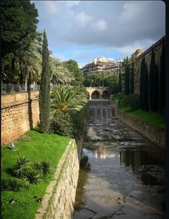 Пальма-де-Майорка 