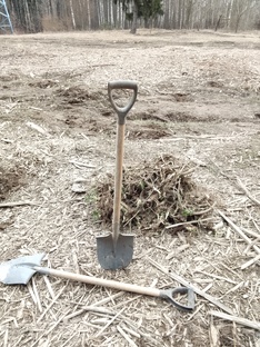 Борьба с борщевиком Сосновского
