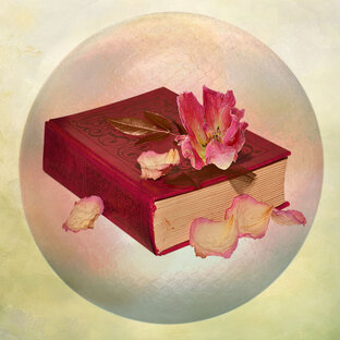 Литература Путешествий