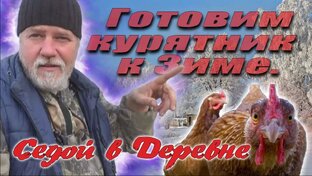 Мини ферма. Птицеводство. Куры несушки.