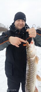 Золотая рыбка