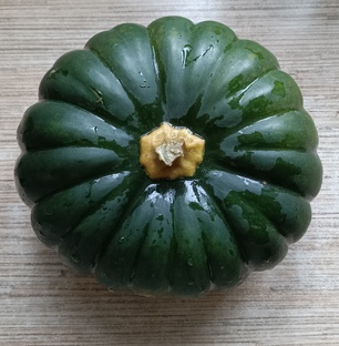 Японская тыква Кабоча Хризантемка Кикудза. 