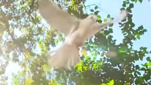 От души к душе с любовью . 