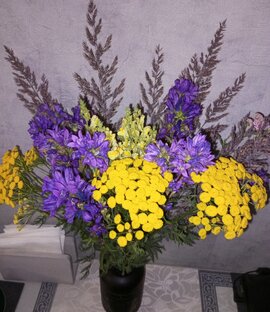 Живые цветы для дома.