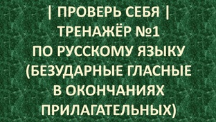 БЕЗУДАРНЫЕ ГЛАСНЫЕ В ОКОНЧАНИЯХ ПРИЛАГАТЕЛЬНЫХ