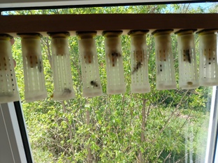 наше матководство