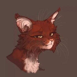 Комикс "Жизнь Колы"