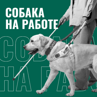 Фотопроект «Собака на работе» от РКФ