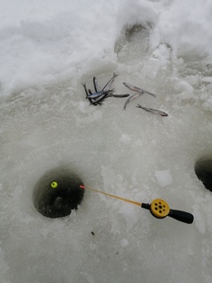 Зимний рыболовный сезон 2025-2026 гг. 