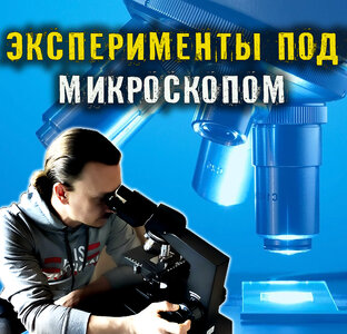 Под Микроскопом