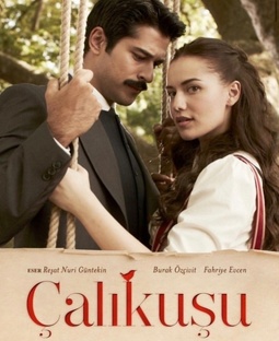 Королек - птичка певчая (Çalıkuşu)