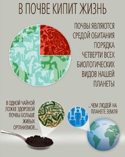 Природное земледелие в действии