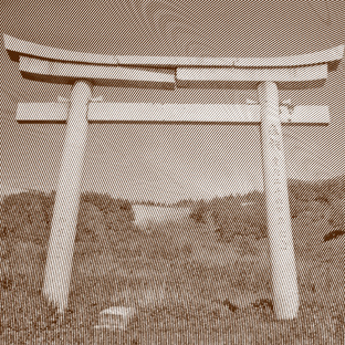 DOMI.TORII