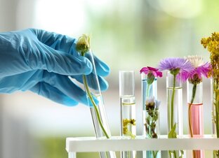 "Слезы моря"