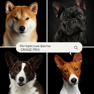 Интересные факты!
