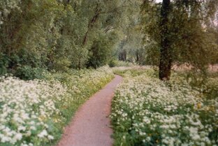 Невероятно красивые стихи 🌿🫐