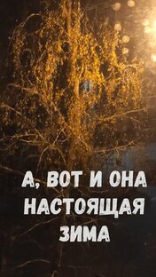 КОРОТКИЕ ВИДОСИКИ