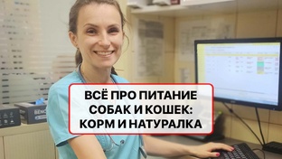 Всё про питание собак и кошек, корм и натуралка - самые важные факты