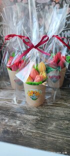 Первые чувства