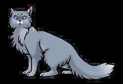 Коты воители 