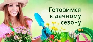 Огород на подоконнике 