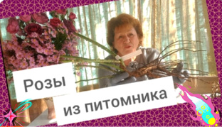 Саженцы из питомников.Вайлдберрис.Леруа Мерлен.Как сохраняю.