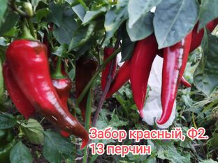 Перец