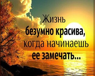 О жизни