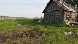 ДАЧА-ОГОРОД