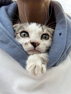 Посмотрите обязательно