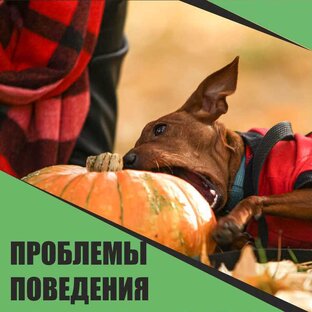 О сложных ситуациях и состояниях