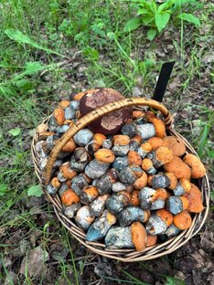 OKAY CMS ПРАКТИКА